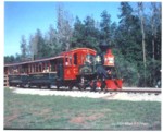 Image of Fort Wilderness Train on trestle.